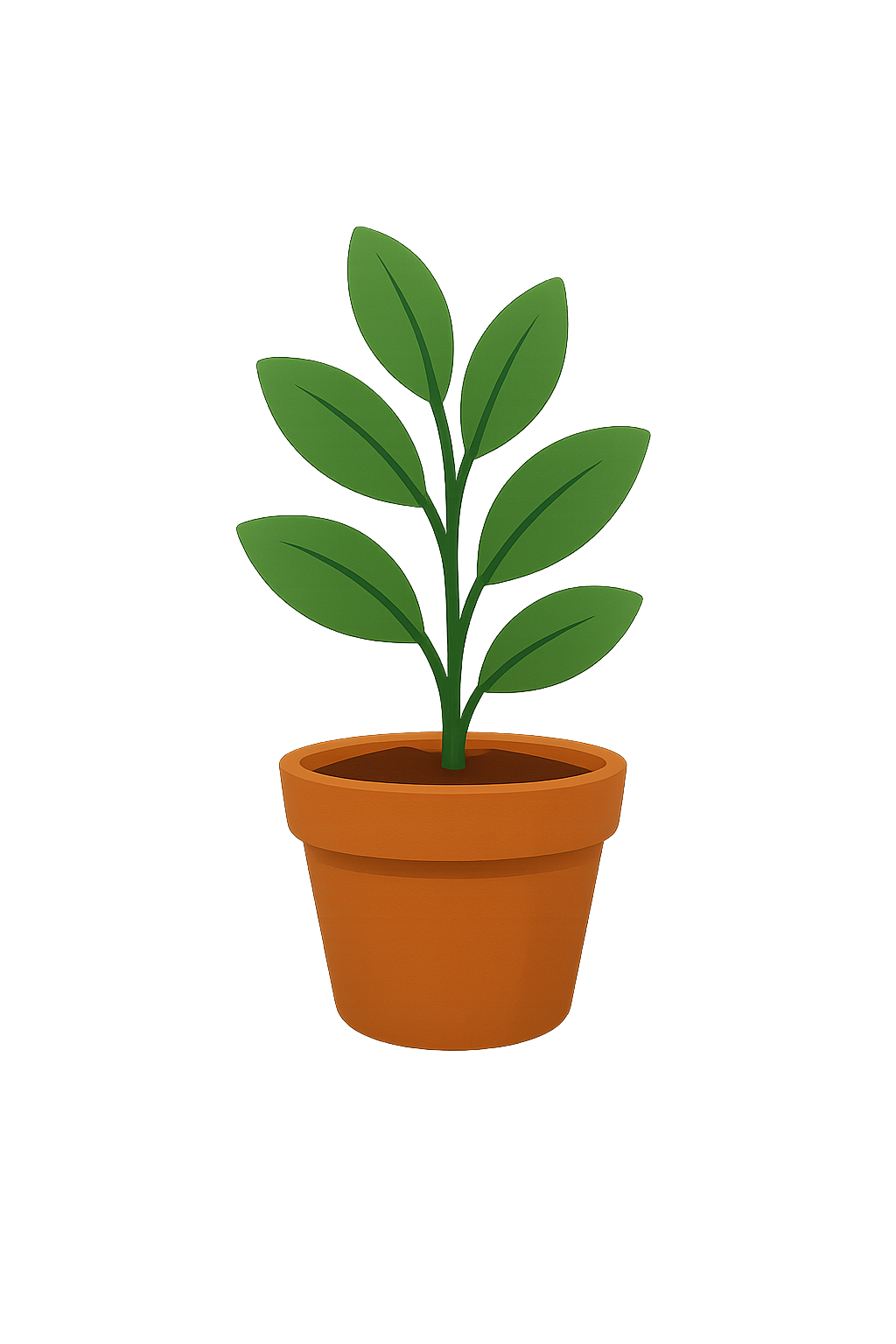 Potted plant