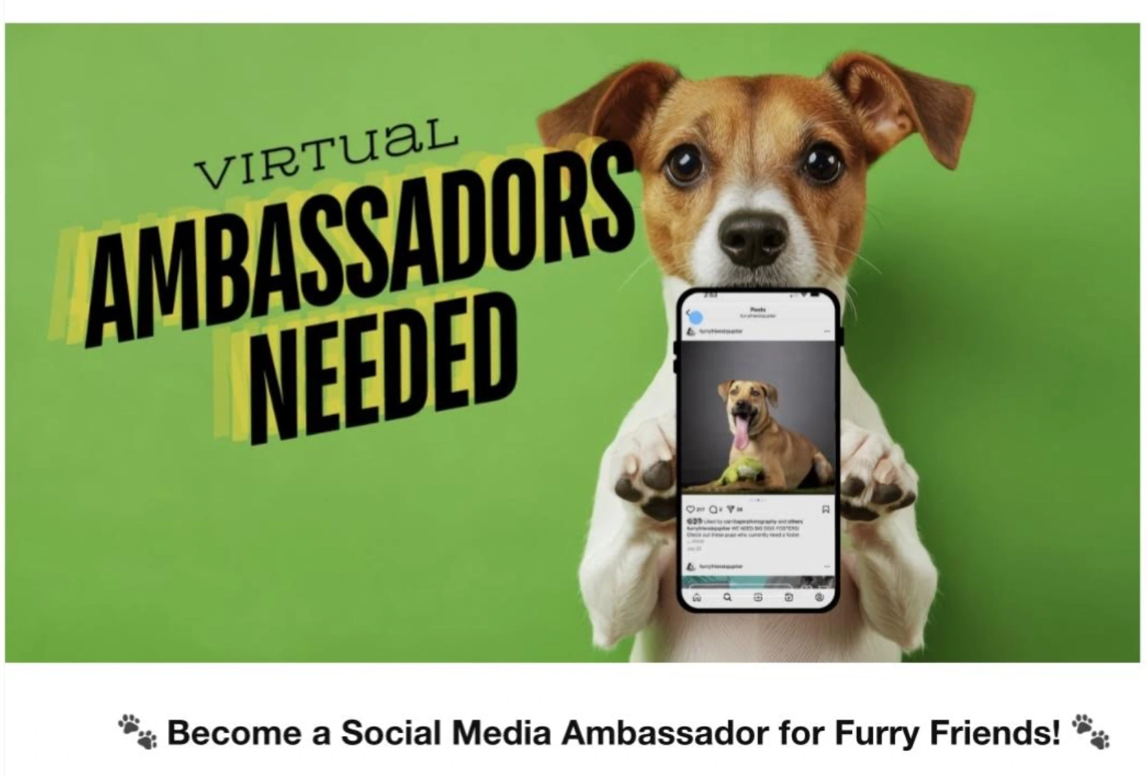 A small brown and white dog holds a smartphone showing an Instagram post of another happy dog with a green toy. Behind it, bold text on a bright green background reads “Virtual Ambassadors Needed.” Below, paw prints frame the caption: “Become a Social Media Ambassador for Furry Friends!”