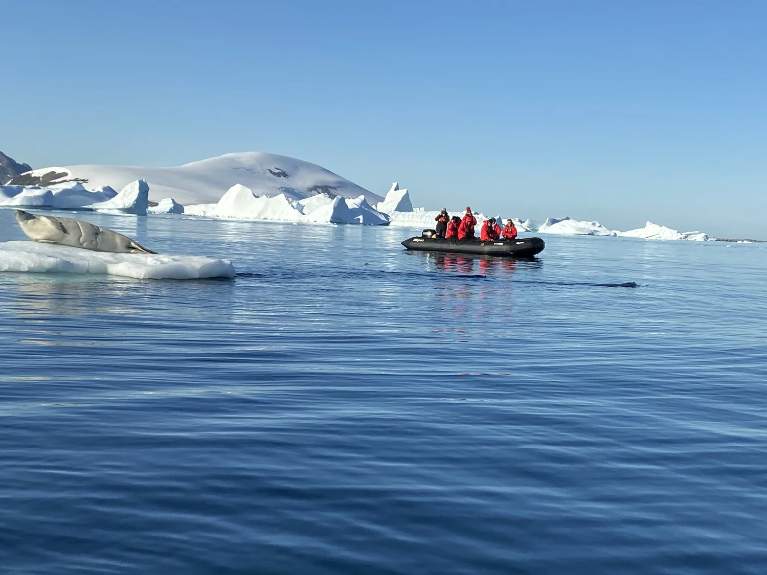 A small boat with people in red jackets observing icebergs and a seal resting on an ice floe in calm Antarctic waters