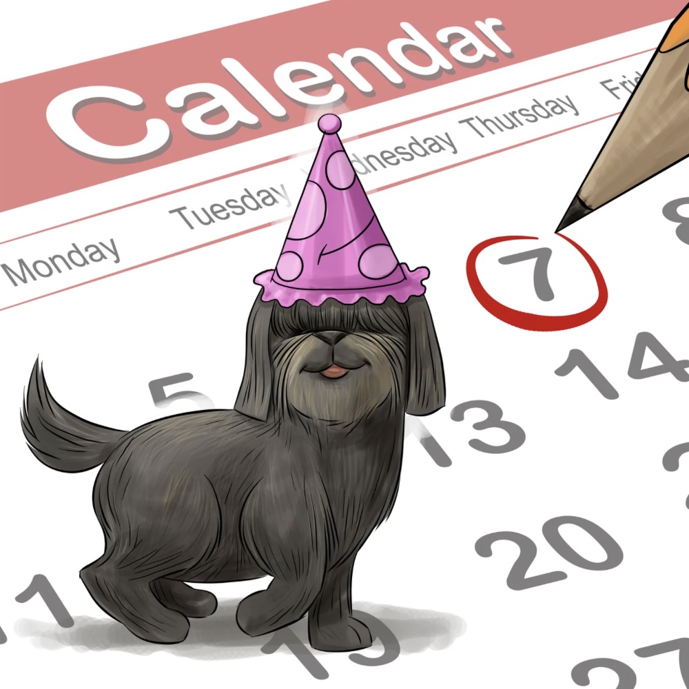  Illustration of a small black dog wearing a pink polka dot party hat, standing in front of a calendar with the number 7 circled in red, suggesting a celebration or birthday on that date.