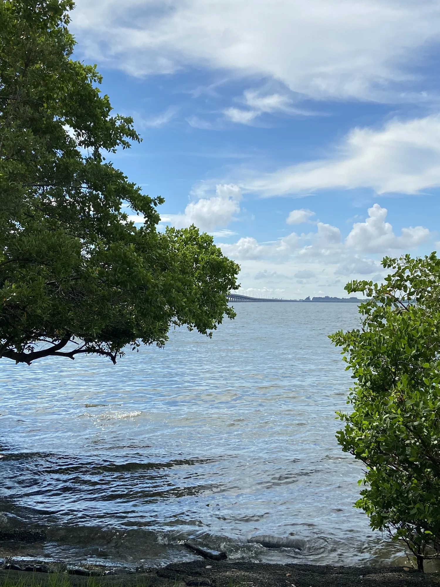 Waterfront landscape at the retreat serene with trees.